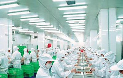 食品加工包装行业的迅猛发展及其对农副产品的深远影响