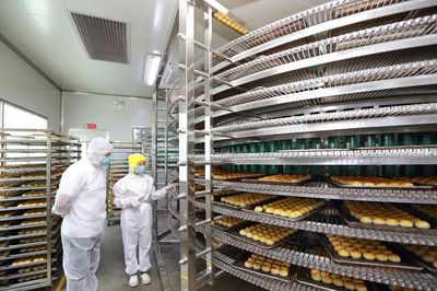 减税降费助力企业发展，共筑创业就业新蓝图