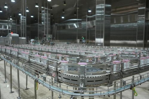 探秘比瑞吉透明工厂 一座食品级宠物厨房的全球标准与细节