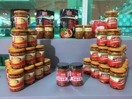 借力“中国第一展” 眉山推介食品产业异军突起